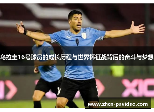 乌拉圭16号球员的成长历程与世界杯征战背后的奋斗与梦想